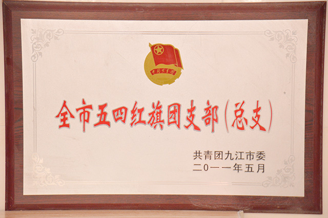 全市五四红旗团支部