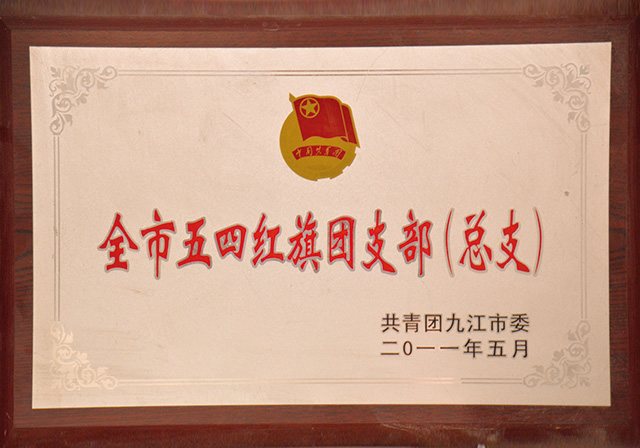 全市五四红旗团支部