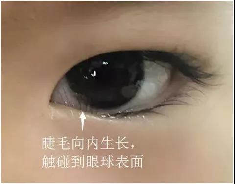 1604880459771132.jpg 微信图片_20201109080102.jpg